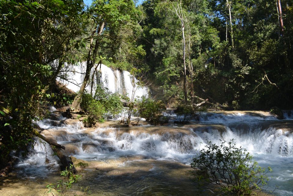 Lacandon Jungle Tour From Palenque: River Rafting and Hiking - Satisfying Late Lunch