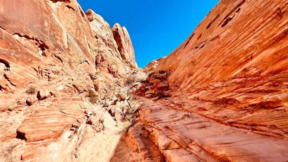 Las Vegas: Valley of Fire Scenic Tour - Booking and Cancellation Policy