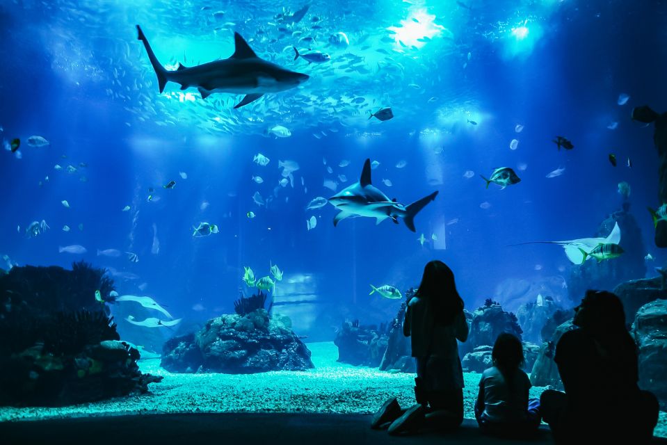 Lisbon: Oceanarium Of Lisbon Entrance Ticket - Tips for Your Visit