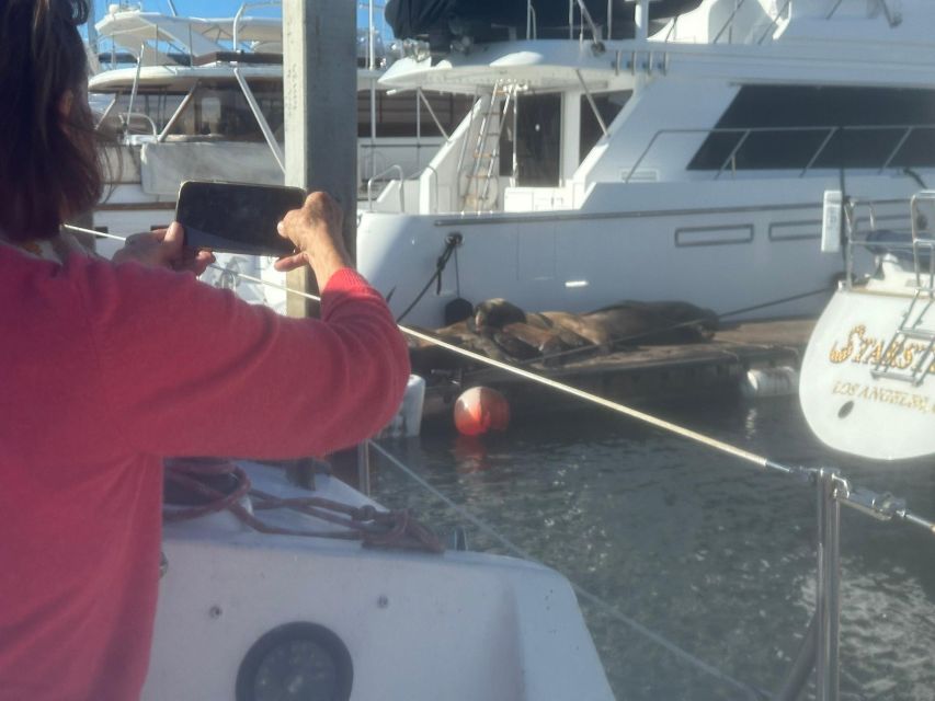 Los Angeles: Marina Del Rey Cruise on a Classic Sailboat - Luxury Yacht Sightings