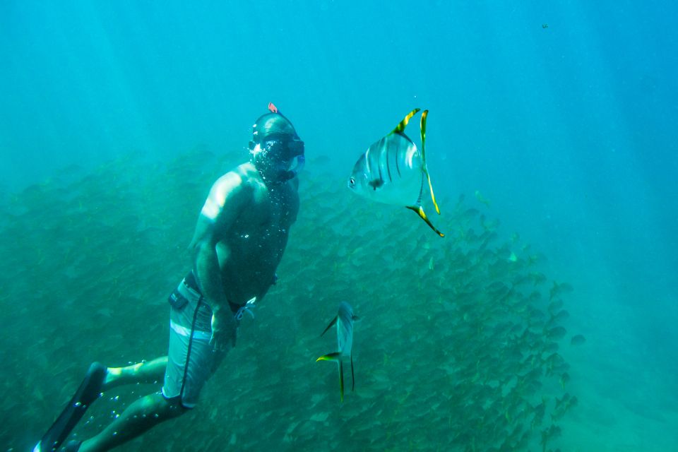 Los Cabos: Bay Kayaking and Snorkeling Private Tour - Kayaking and Snorkeling Details