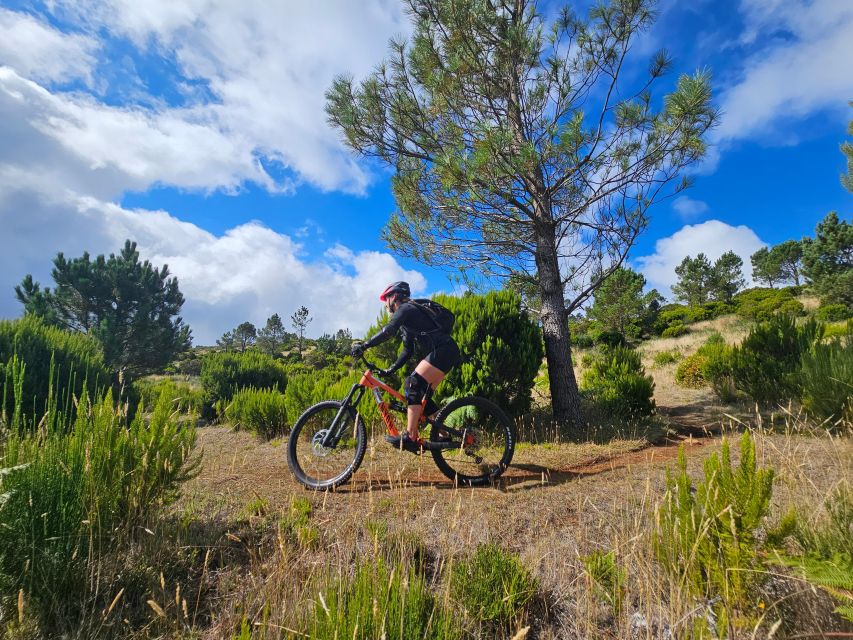 Madeira - Mountain Biking Tour - Tour Flexibility and Booking