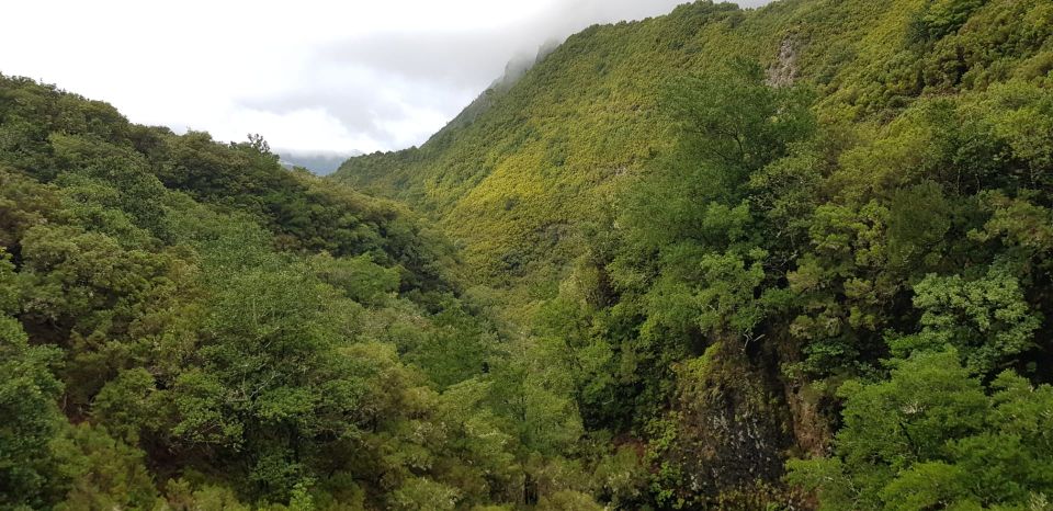 Madeira: Mountain Walk With Lagoon and Waterfalls - Frequently Asked Questions