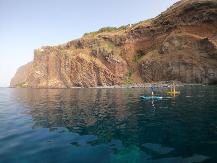 Madeira: Private Paddleboard & Snorkel - Snorkeling Opportunities