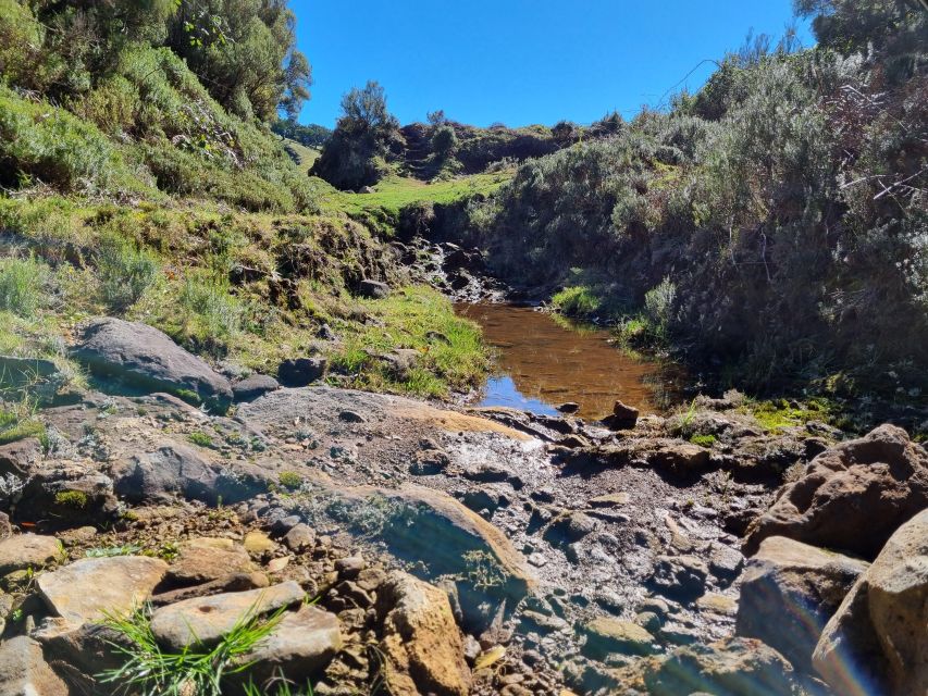 Madeira : SkyWalk, Fanal, Natural Pools 4x4 Jeep Tour - Drop-off Locations