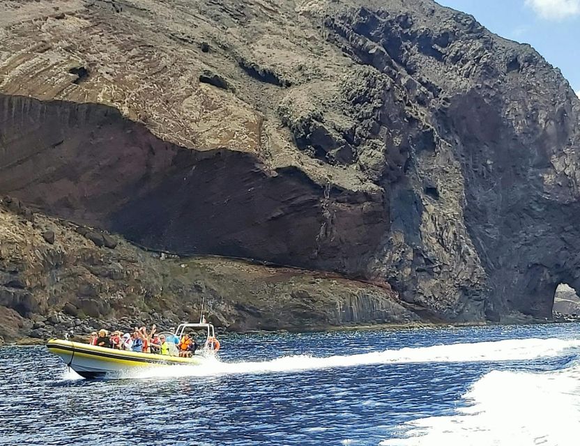 Madeira: Whale and Dolphin Watching Tour - Preparing for the Adventure