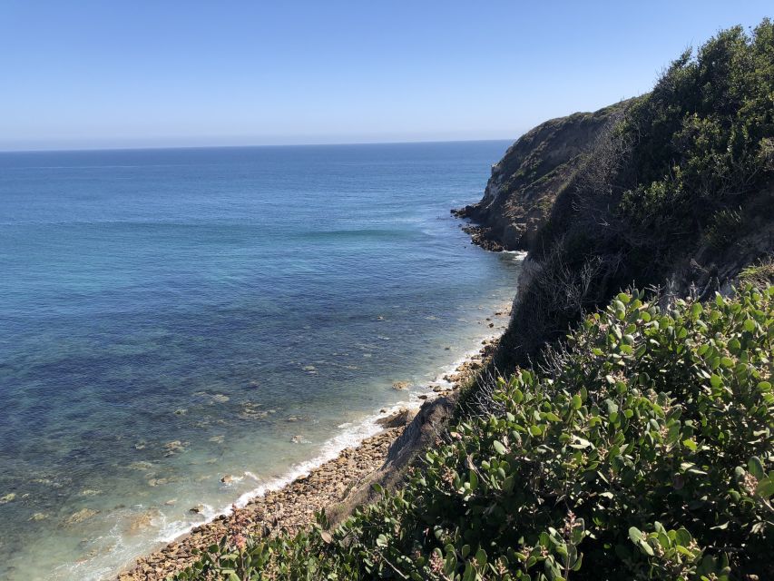 Malibu Beach: Surf Tour in a Vintage VW Van - Tour Duration and Group Size