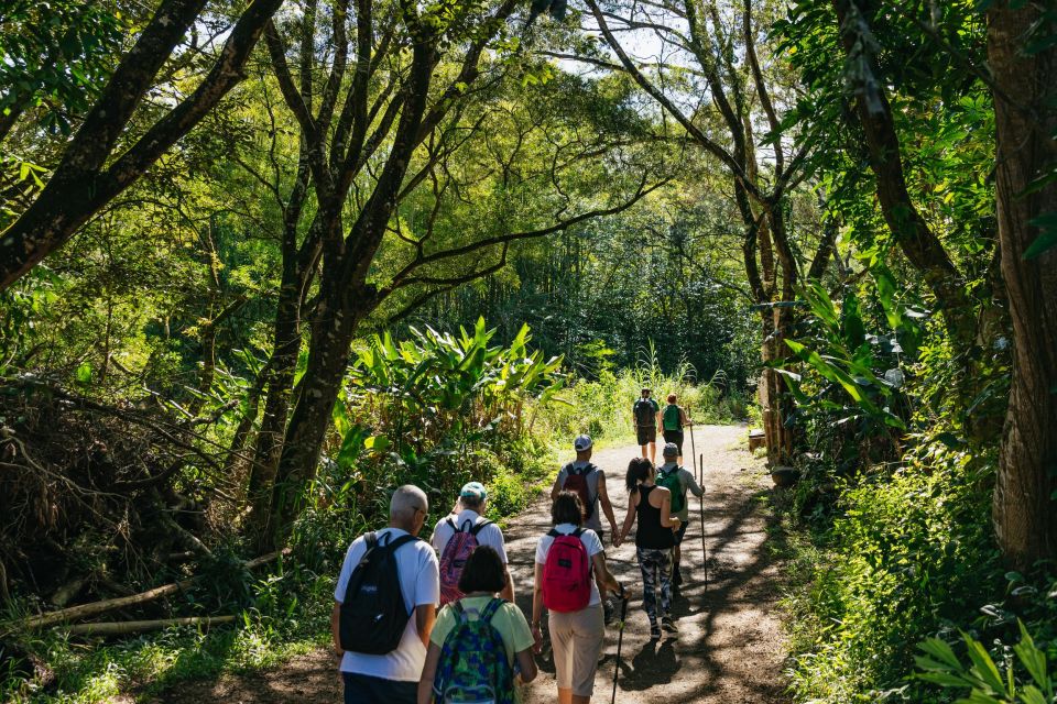 Maui: Rainforest Waterfalls Guided Hike With Picnic Lunch - What to Bring for the Hike