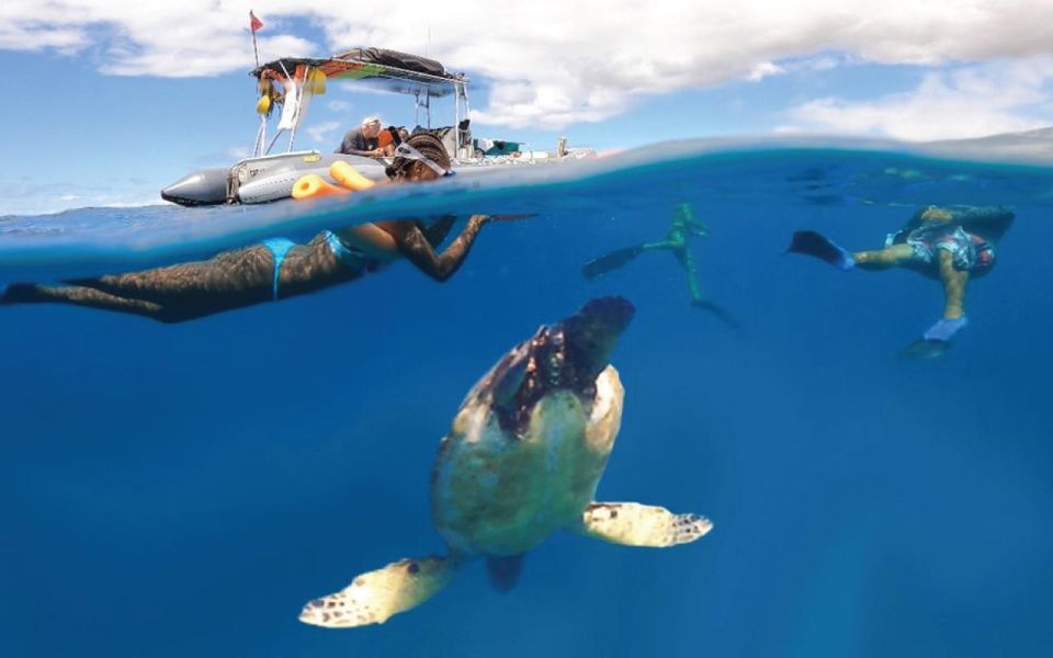 Maui: Semi-Private 2.5 Hour Eco-Raft Turtle Snorkel Tour - Practical Information