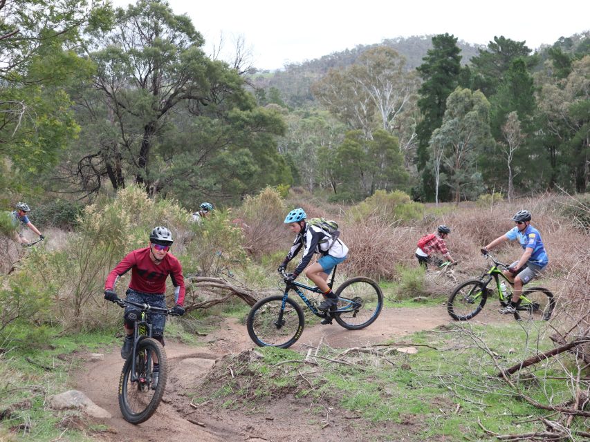 Melbourne: 1-Day Mountain Biking Adventure With Lunch - Frequently Asked Questions