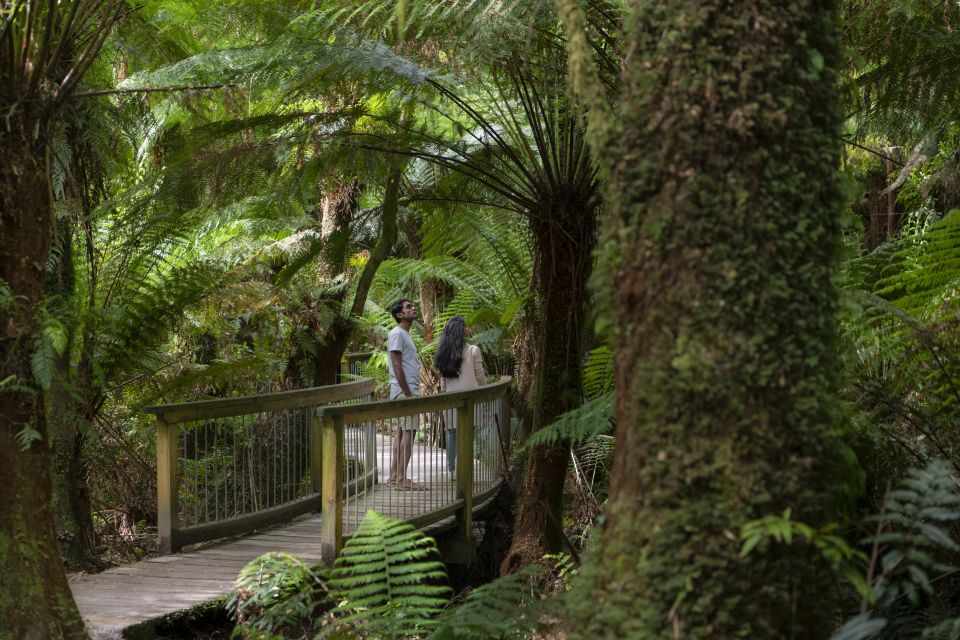 Melbourne to Adelaide: 3-Day Great Ocean Road Grampians Tour - Recap