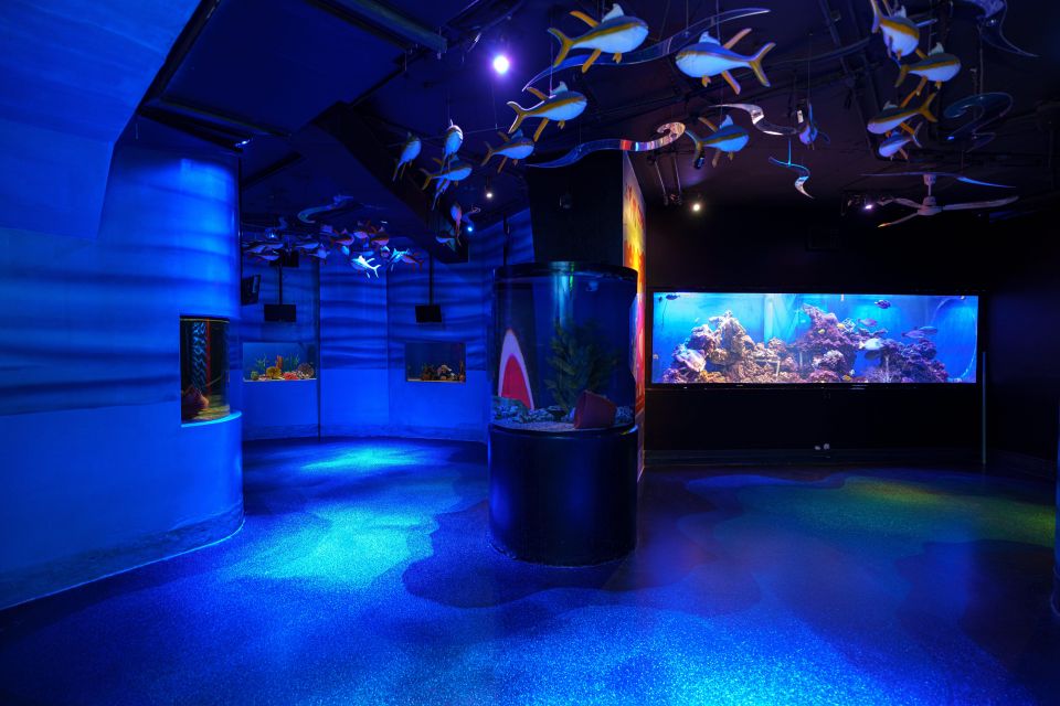 Mexico City: Inbursa Aquarium Ticket With VR Option - Frequently Asked Questions