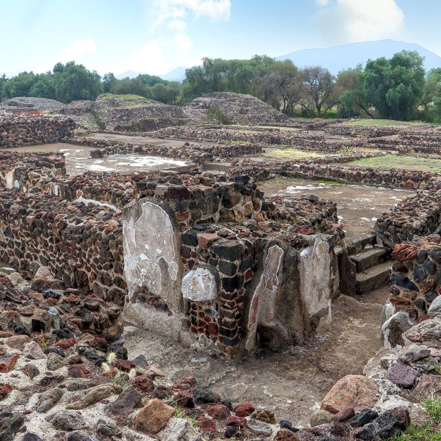 Mexico City: Private Tour Teotihuacan & Guadalupe Basilica - Tour Considerations