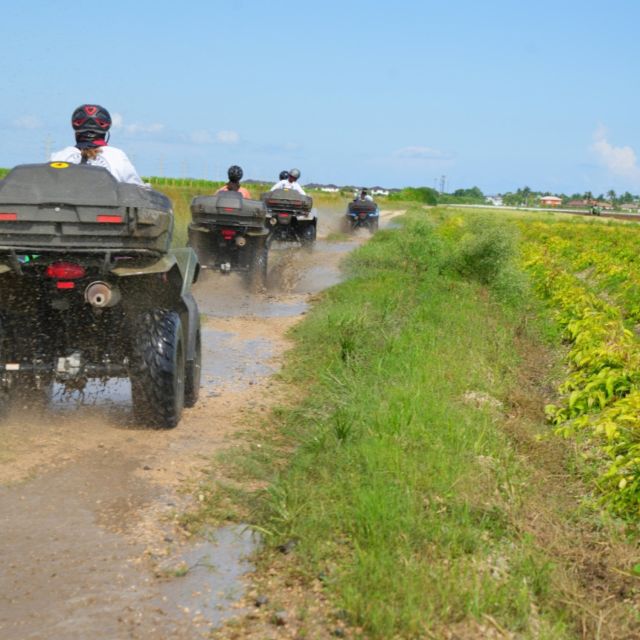 Miami: ATV Tour - Important Considerations