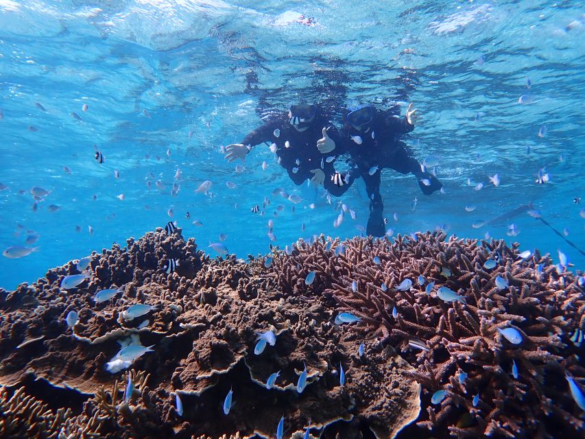 Miyako Island: Kayaking and Snorkeling Experience - Enjoy the Local Lunch