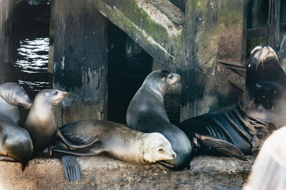 Monterey Bay: Whale Watching Tour - Conservation Efforts