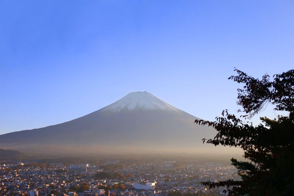 Mount Fuji and Hakone Full Day Private Tour - Tour Details and Pricing