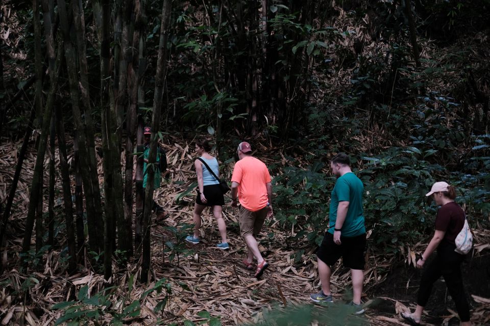 Mt. Merapi Majesty: Soft Trek and Botanic Village Tour - Cultural Encounters at Base