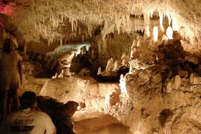 Natural Wonders of Barbados Small-Group or Private Tour With Harrisons Cave - Customer Experiences and Reviews