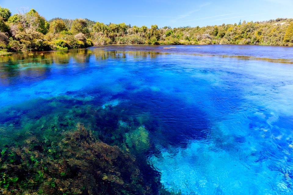 Nelson: Abel Tasman Cruise-Fly Day Tour - Booking and Pricing Information