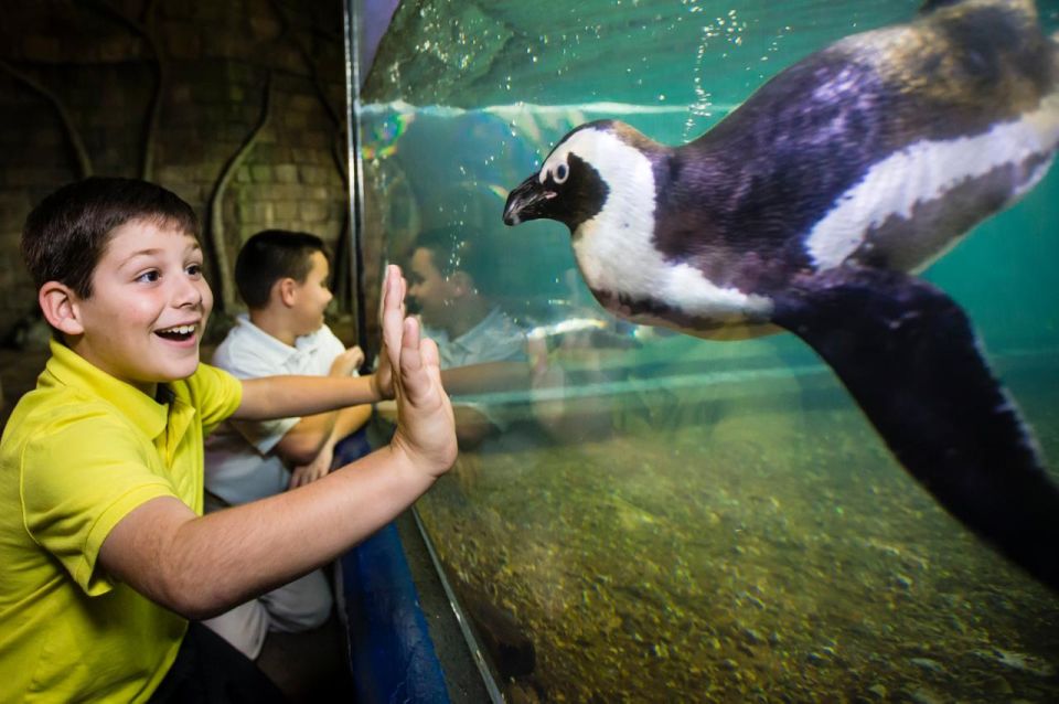 New Orleans: Audubon Aquarium & Insectarium Ticket - Top 5 Aquarium in the U.S