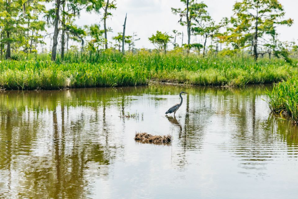 New Orleans: High Speed 9 Passenger Airboat Tour - Booking Details