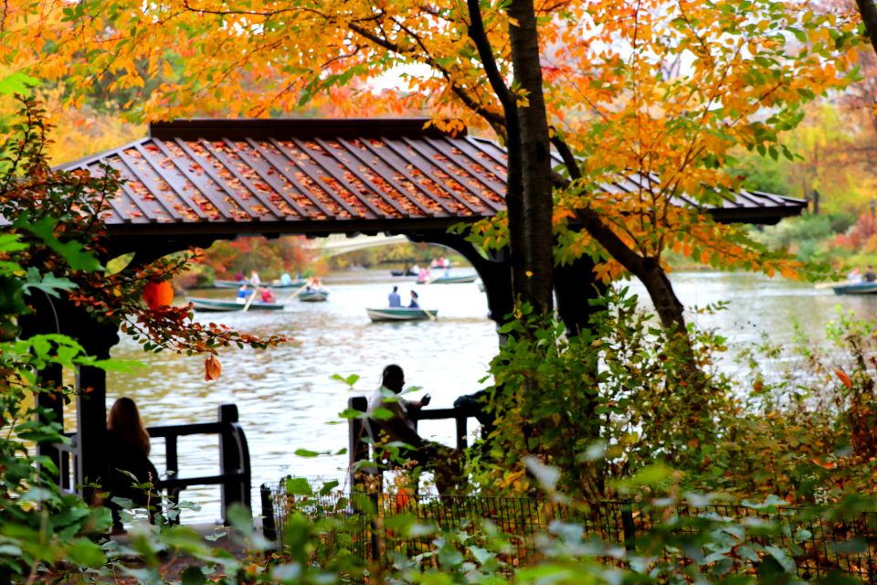 New York City: Pedicab Tour Through Central Park - Recap