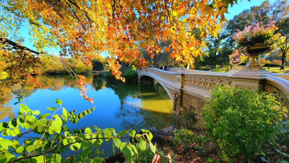 NYC: Central Park Secrets and Highlights Walking Tour - Professional Sightseeing Guide