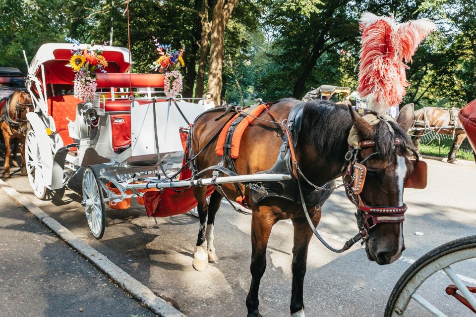 NYC MAGICAL NIGHT TIME RIDE Central Park/Rockefeller Center - Frequently Asked Questions