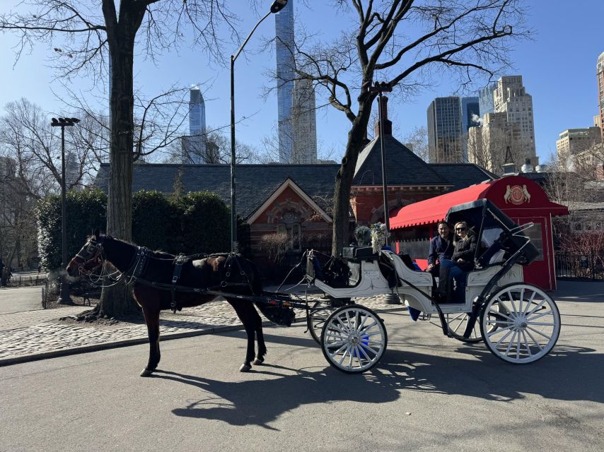 NYC:Guided Central Park Horse Carriage Ride - Preparing for Your Ride