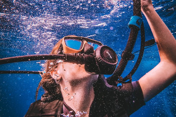 Open Water Course - Key Highlights