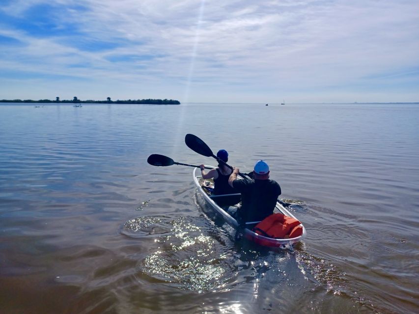 Orlando: Dolphin Clear Kayak or Paddle Board Adventure - Stop at Horseshoe Crab Island