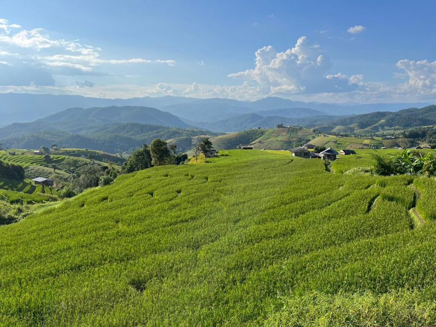 Pa Pong Piang Rice Terraces & Doi Inthanon National Park - Frequently Asked Questions