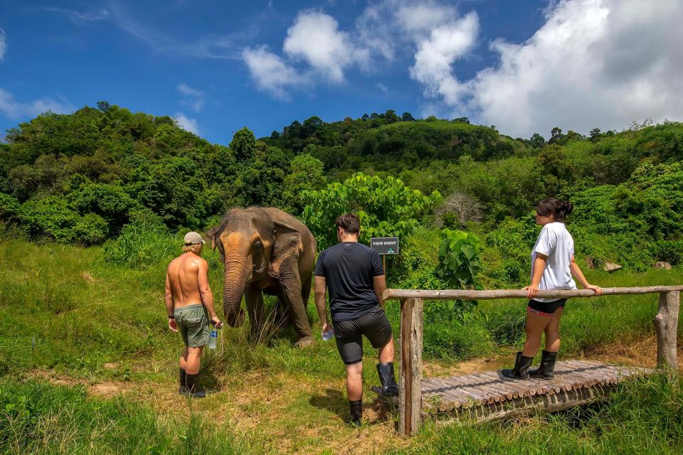 Phuket: Ethical Elephant Nature Park Visit With Lunch - Ethical Elephant Conservation