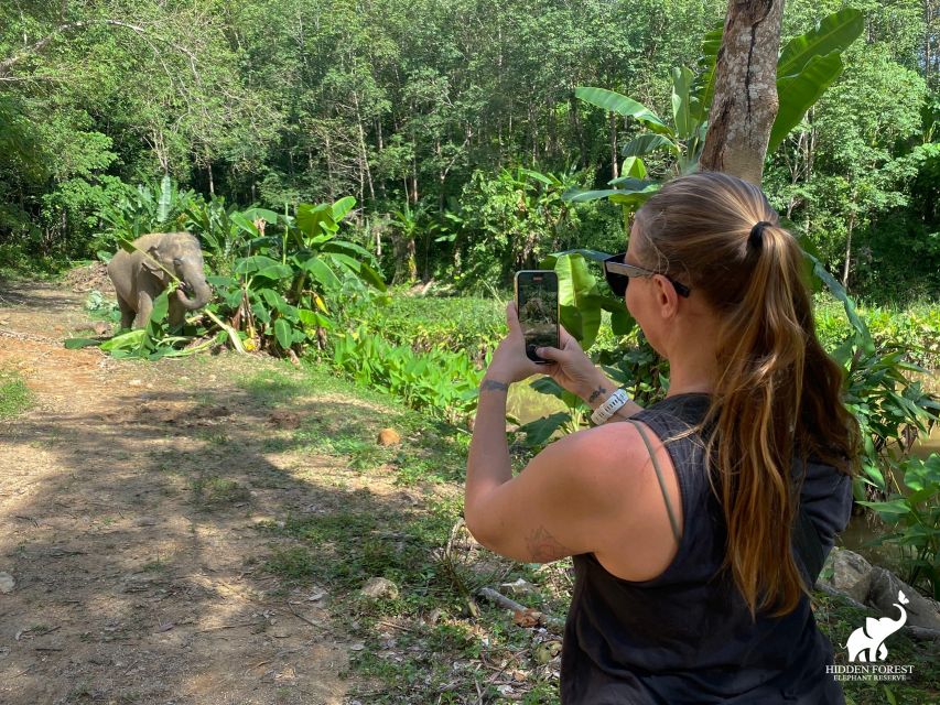 Phuket: Hidden Forest Elephant Reserve With Meal & Transfer - Cancellation and Additional Details