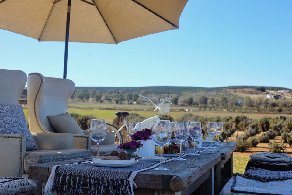 Picnic Among Lavender - Refreshing and Rejuvenating Picnic