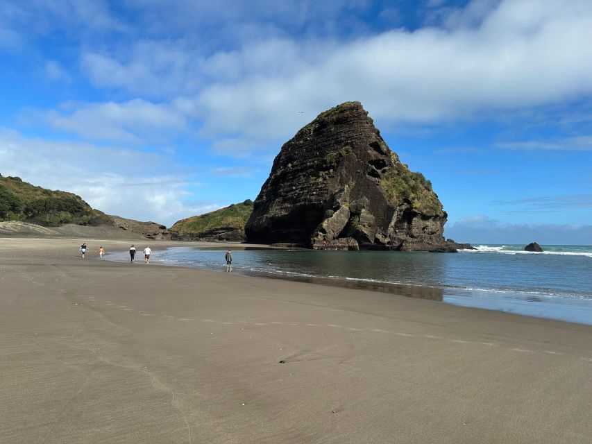 Piha & Karekare - Out of Auckland Private Tour - Comfort and Safety