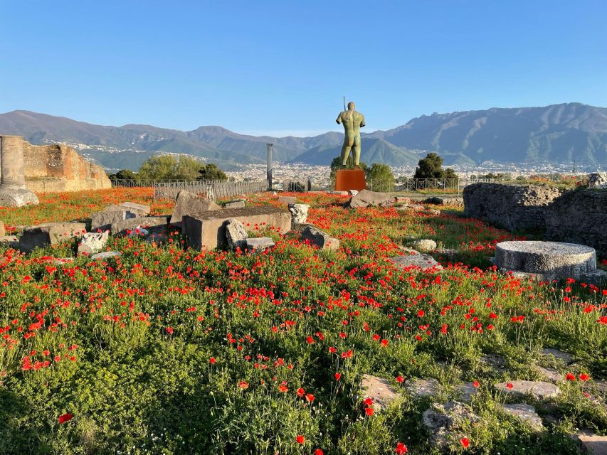 Pompeii Unveiled: A Private Odyssey Through Ancient Splendor - Immersive Experiences