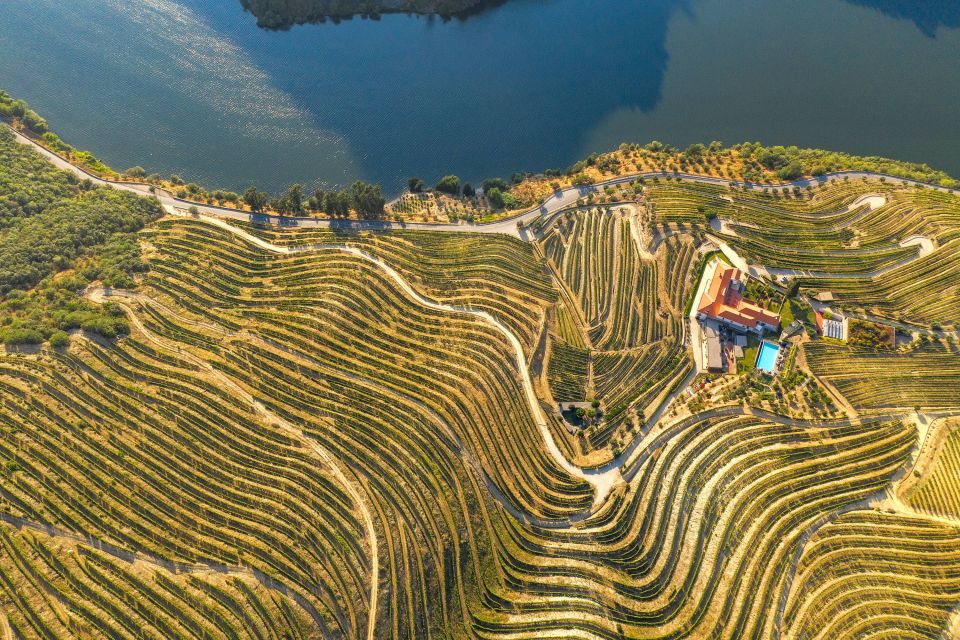 Porto: Douro Valley Tour With Lunch, Boat Cruise & Tastings - Additional Information