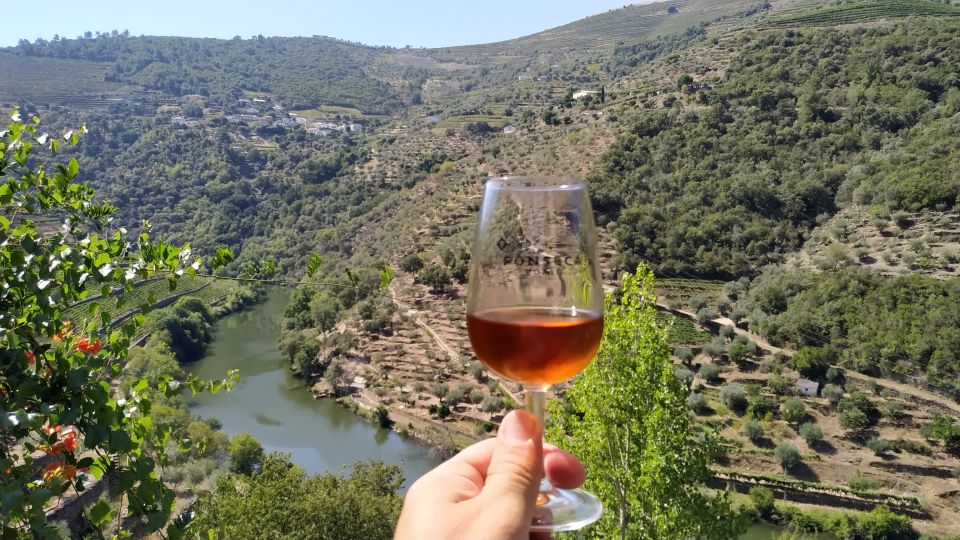 Porto: Douro Valley Wine Tour With Tastings, Boat, and Lunch - Final Thoughts