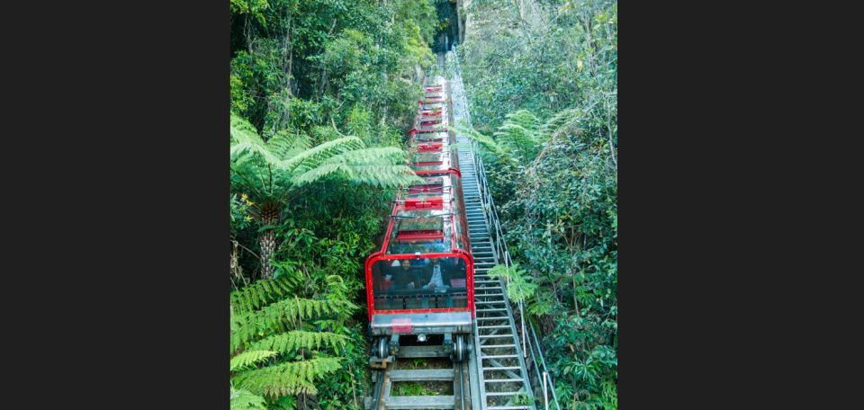 PRIVATE All Inclusive Blue Mountains & Scenic World Tour - Recap