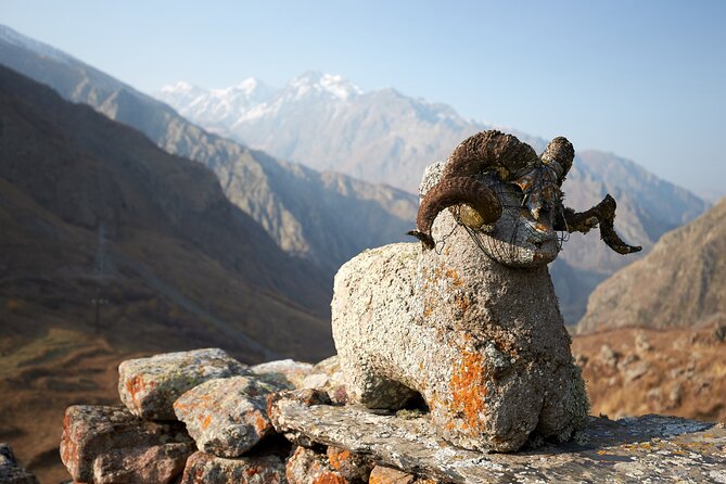 Private Day Trip to the Caucasus Mountains and the Russian Border - Gveleti Waterfalls