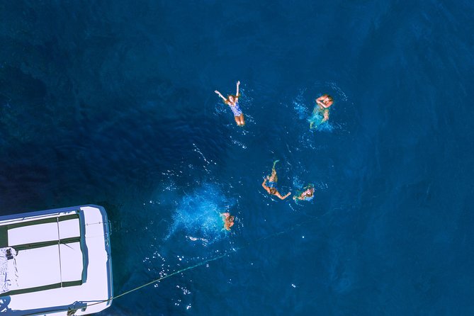 Private Kotor Bay Speed Boat Tour and Blue Cave Adventure - Tour Highlights