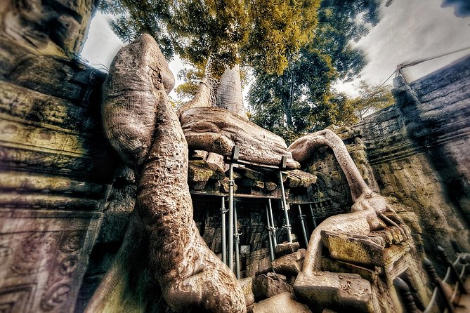Private Sunrise Tour to Angkor Wat & Other Highlights With Professional Guide. - About the Guide