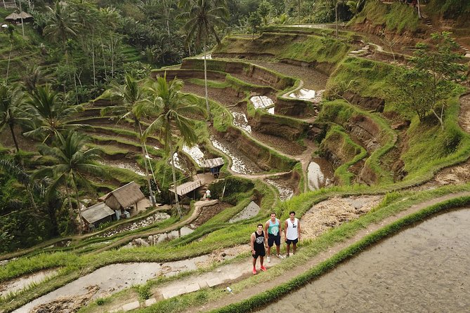 Private Tour: Bali Volcano With Jungle Swing Experience - Cancellation Policy and Tour Details