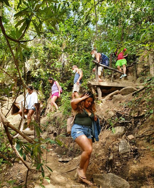 Puerto Vallarta: 4-Hour Jungle Hike and Waterfall Swim - Taking in the Jungle Experience