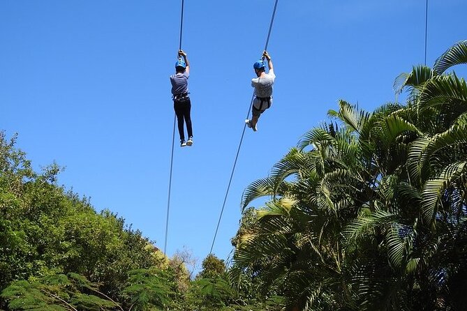 Rainforest Zipline in Foothills of the National Rainforest - Additional Highlights