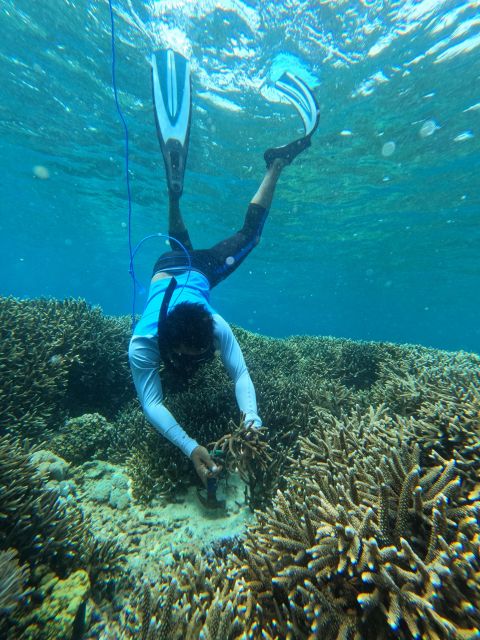 Reef Rehabilitation Course & Snorkeling - Booking and Cancellation Policy