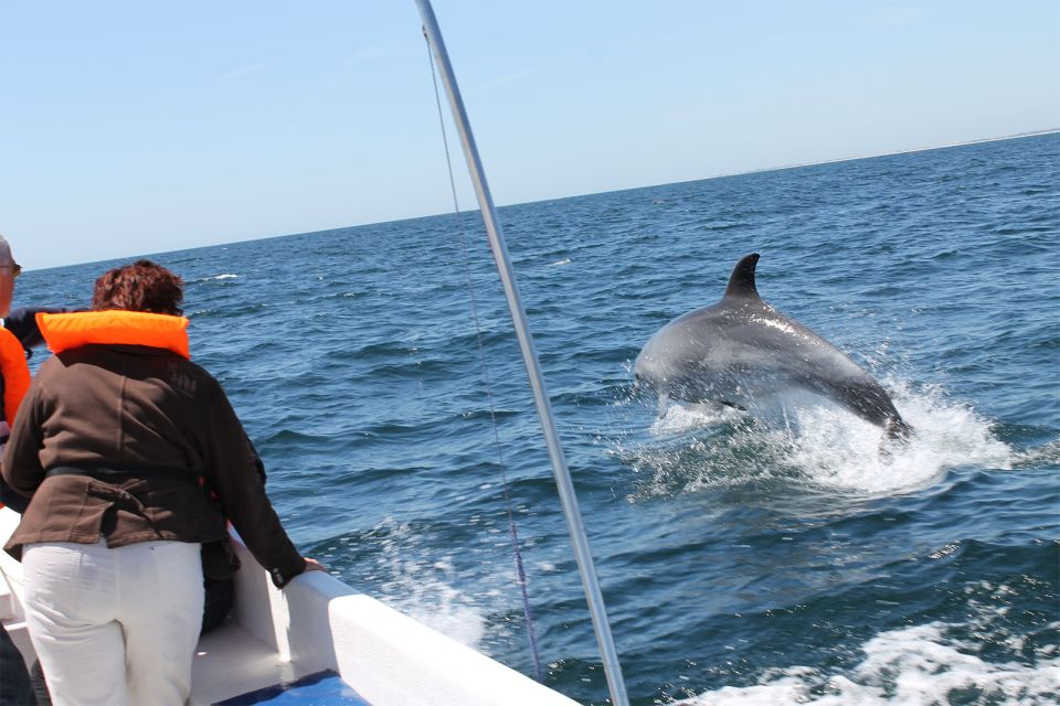 Ria Formosa: Dolphin-Watching Boat Tour - Frequently Asked Questions