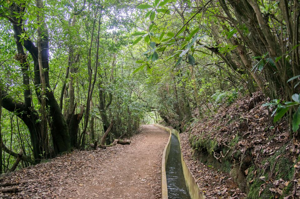 Ribeiro Frio / Portela - Levada Walk - Customer Reviews